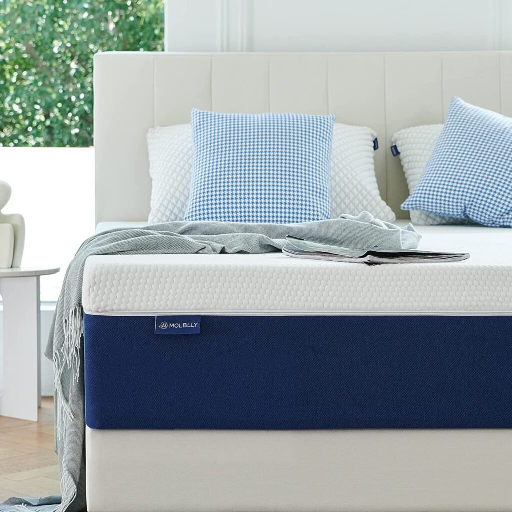 Molblly Queen 8 Inch Hybrid Mattress