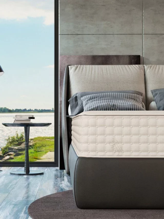 Is the PlushBeds Botanical Bliss Mattress comfort worth the price?