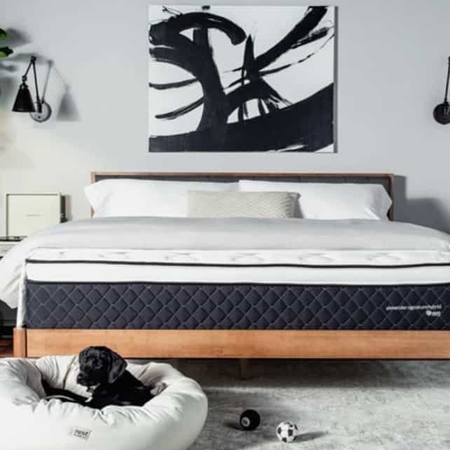 Nest Bedding